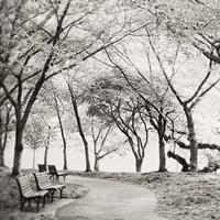 Virginia Park Walk Fine Art Print