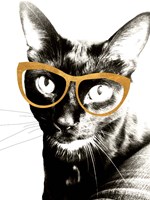 Cool Kat Fine Art Print