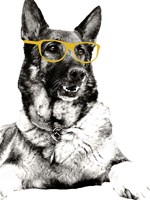 Gold Shades Fine Art Print