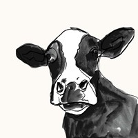 Cow Contour I Fine Art Print