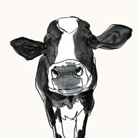 Cow Contour III Fine Art Print