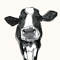 Cow Contour III Framed Print