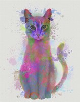 Cat Rainbow Splash 4 Fine Art Print