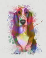 Basset Hound Rainbow Splash Fine Art Print
