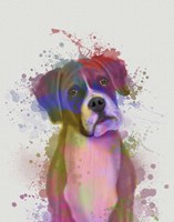 Boxer 1 Portrait Rainbow Splash Fine Art Print