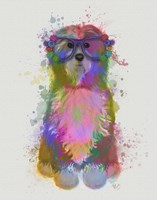 Tibetan Terrier Rainbow Splash Fine Art Print