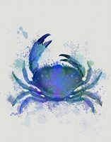 Crab 1 Blue Rainbow Splash Fine Art Print