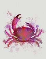 Crab 1 Pink Rainbow Splash Fine Art Print