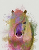 Pony 1 Portrait Rainbow Splash Fine Art Print