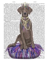 Weimaraner on Purple Cushion Fine Art Print