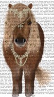 Horse Brown Pony with Bells, Full Fine Art Print