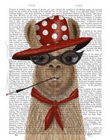 Fabulous Llama Fine Art Print