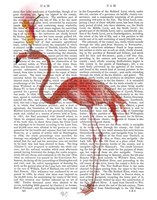 Flamingo and Cocktail 4 Fine Art Print