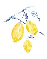 Watercolor Lemons I Fine Art Print