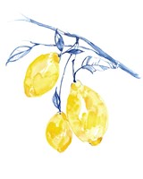 Watercolor Lemons II Framed Print