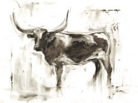 Longhorn Study II Framed Print