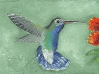 Fresco Hummingbird I Fine Art Print