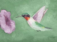 Fresco Hummingbird II Fine Art Print