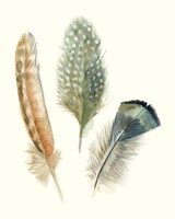 Watercolor Feathers I Fine Art Print