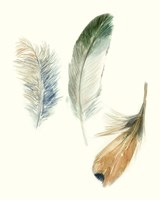 Watercolor Feathers II Fine Art Print