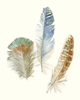 Watercolor Feathers III Framed Print
