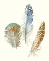 Watercolor Feathers III Fine Art Print
