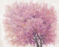 Pink Cherry Blossom Tree II Fine Art Print