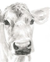 Farm Faces I Fine Art Print