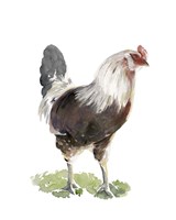 Chicken Dance I Fine Art Print