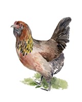 Chicken Dance II Fine Art Print