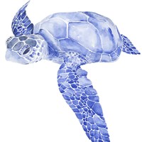 Ultramarine Sea Turtle I Fine Art Print