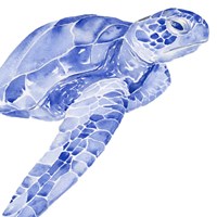 Ultramarine Sea Turtle II Fine Art Print