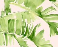 Peachy Palms I Fine Art Print