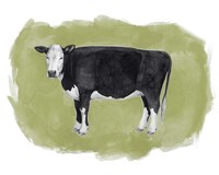 Hereford Graze II Fine Art Print