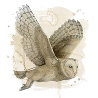 Midnight Watch I Fine Art Print