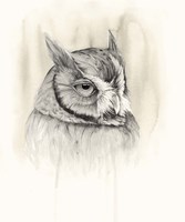 Timberland Animals IV Framed Print