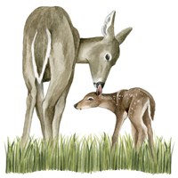 Woodland Babes II Framed Print