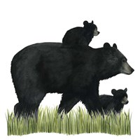 Woodland Babes IV Framed Print