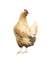 Autumn Chicken III Fine Art Print