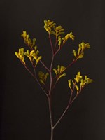 Dark & Dreamy V Fine Art Print