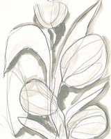 Neutral Tropical II Framed Print