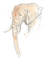 Blush Savannah I Framed Print