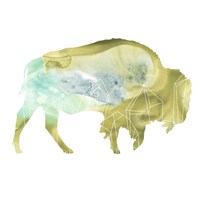 Agate Animal III Fine Art Print