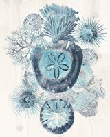 Coastal Melange I Framed Print