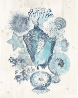 Coastal Melange III Framed Print