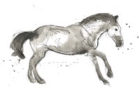 Equine Impressions I Framed Print