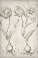 Classic Romance III Framed Print