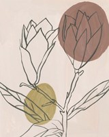 Blush I Framed Print