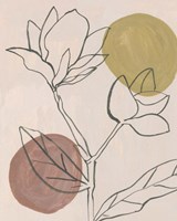 Blush II Framed Print