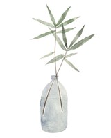 Misty I Framed Print